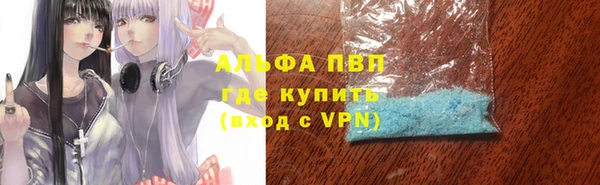 a pvp Белокуриха